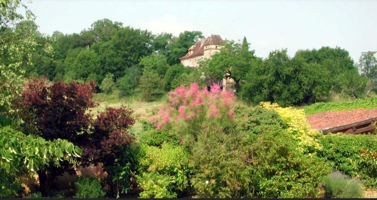 Chateau De Beduer And Vacation Homes Экстерьер фото